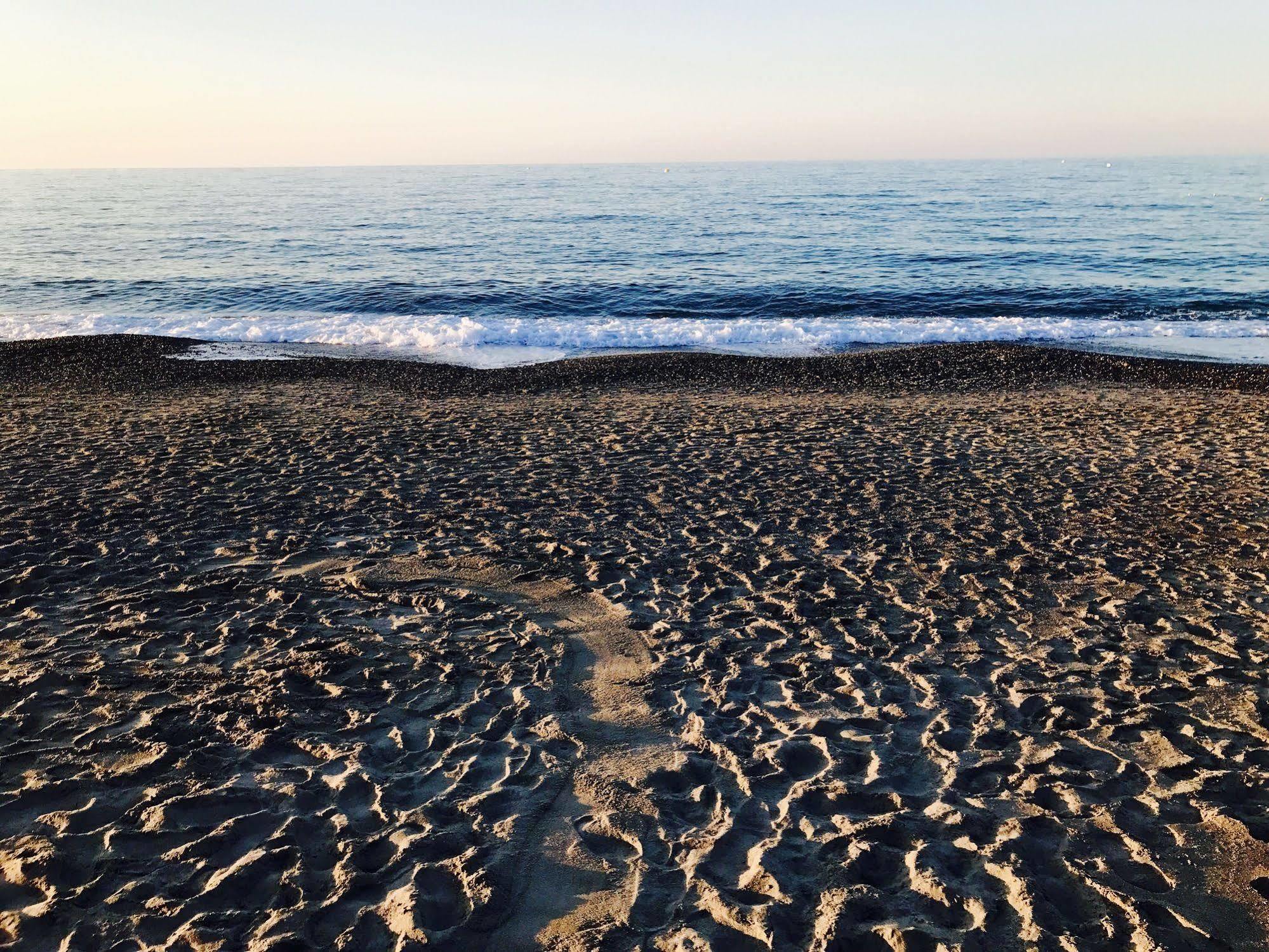 Katerina Seaside Studios Platanés Екстериор снимка